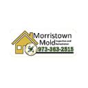 Morristown Mold logo